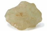 Libyan Desert Glass ( g) - Meteorite Impactite #222216-1